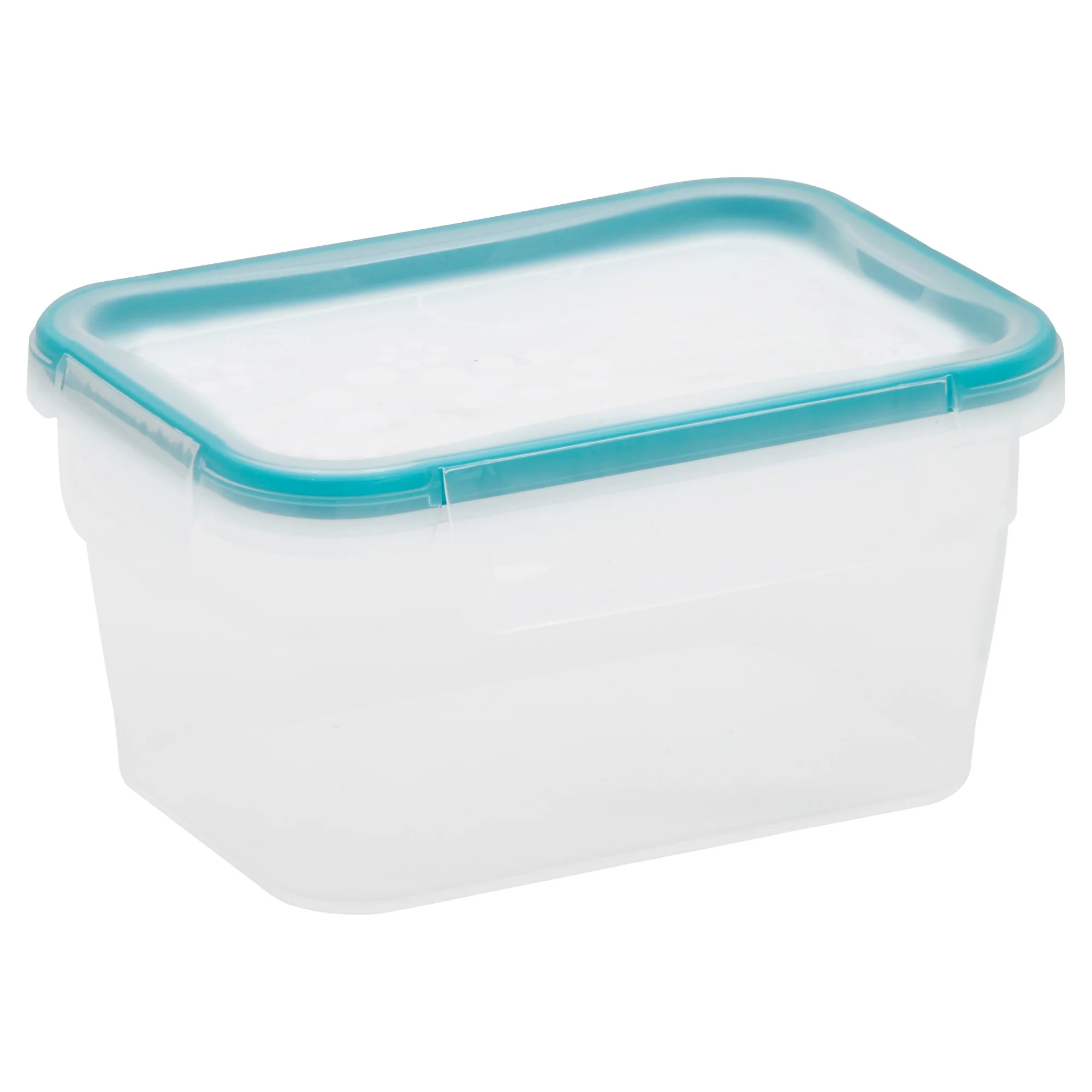 Snapware® TS Plastic Rectangle 1.18L